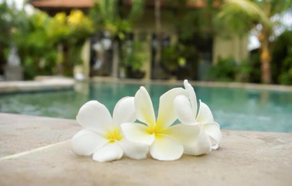 Villa Chandra Seminyak Exterior foto